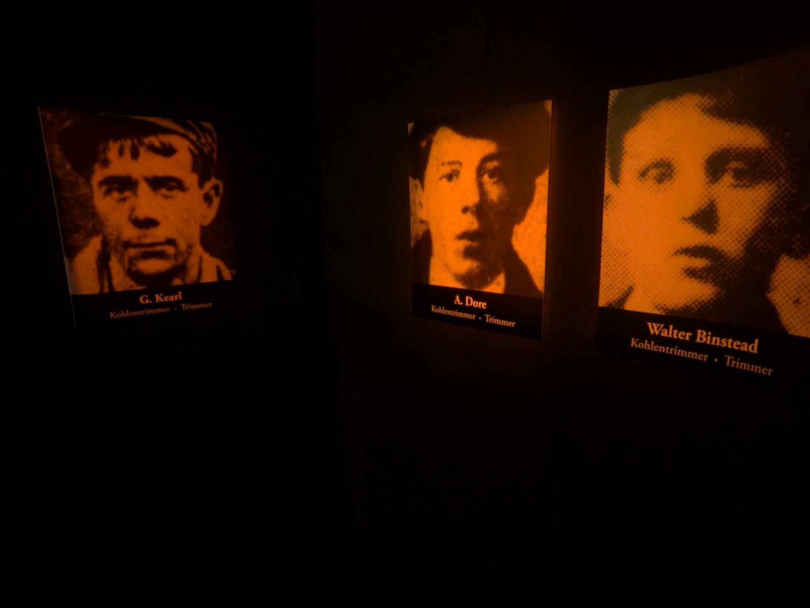 PXL 20241217 113357388.NIGHT